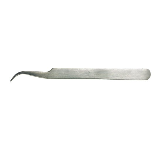 Brucelle fine et courbée